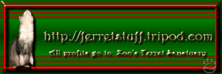 ferretstuff.web.banner.gif