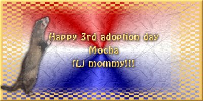 mocha.3rd.adoption.jpg