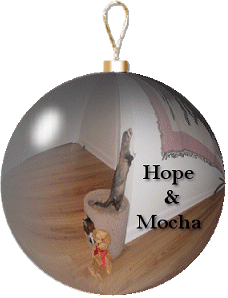 mocha.new.room.ornament.gif