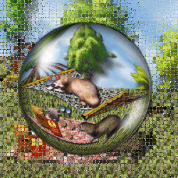 smaller.ferret.picnic.mosaic.gif