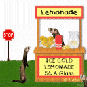 smaller.lemonade.stand.gif